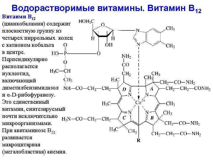 Водорастворимые витамины. Витамин В 12 Витаимн В 12 (цианкобаламин) содержит плоскостную группу из четырех