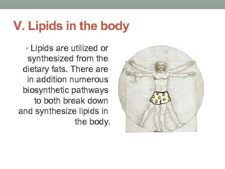 V. Lipids in the body • Lipids are utilized or synthesized from the dietary