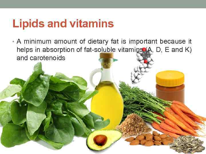 Lipids and vitamins • A minimum amount of dietary fat is important because it