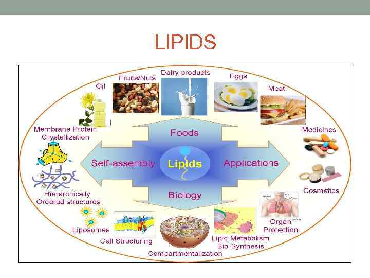 LIPIDS 