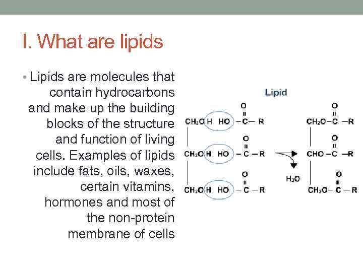 I. What are lipids • Lipids are molecules that contain hydrocarbons and make up