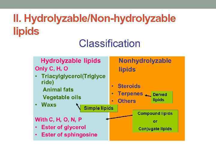 II. Hydrolyzable/Non-hydrolyzable lipids 