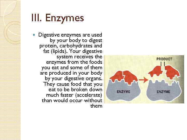 III. Enzymes Digestive enzymes are used by your body to digest protein, carbohydrates and