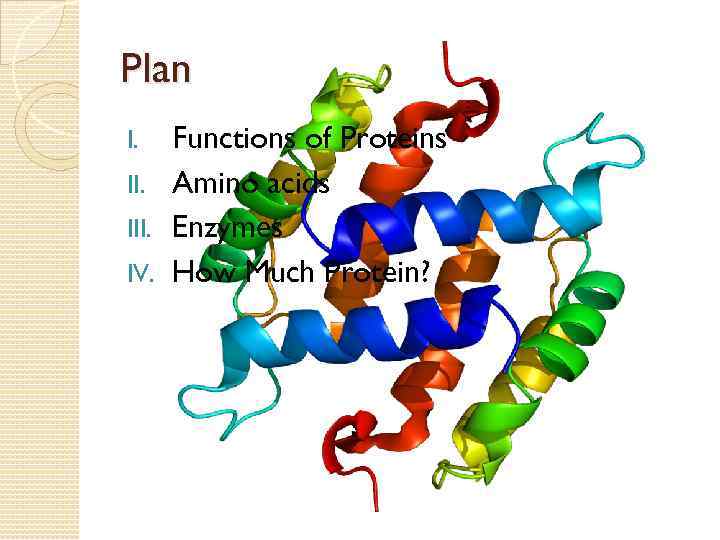 Plan Functions of Proteins II. Amino acids III. Enzymes IV. How Much Protein? I.