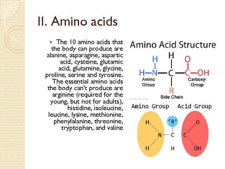 II. Amino acids The 10 amino acids that the body can produce are alanine,