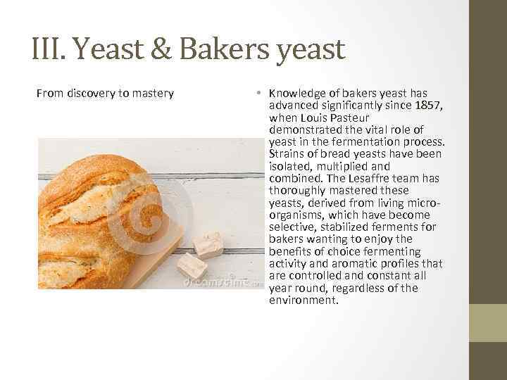 III. Yeast & Bakers yeast From discovery to mastery • Knowledge of bakers yeast