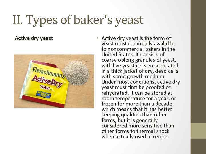 II. Types of baker's yeast Active dry yeast • Active dry yeast is the