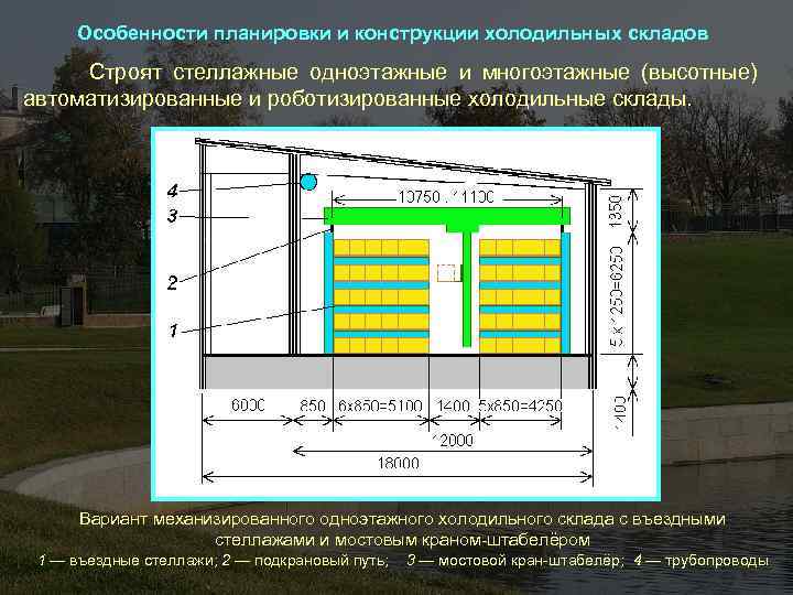 Особенности планировки и конструкции холодильных складов Строят стеллажные одноэтажные и многоэтажные (высотные) автоматизированные и