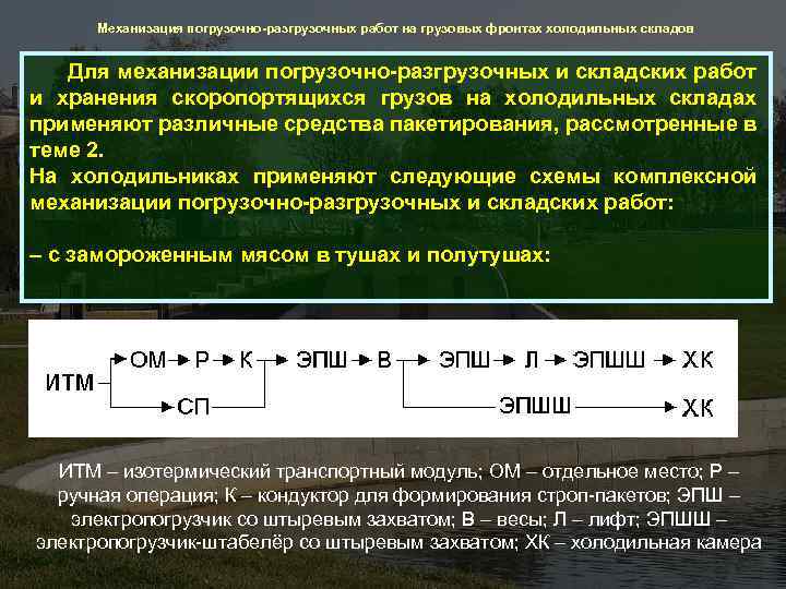 Механизация погрузочно-разгрузочных работ на грузовых фронтах холодильных складов Для механизации погрузочно-разгрузочных и складских работ