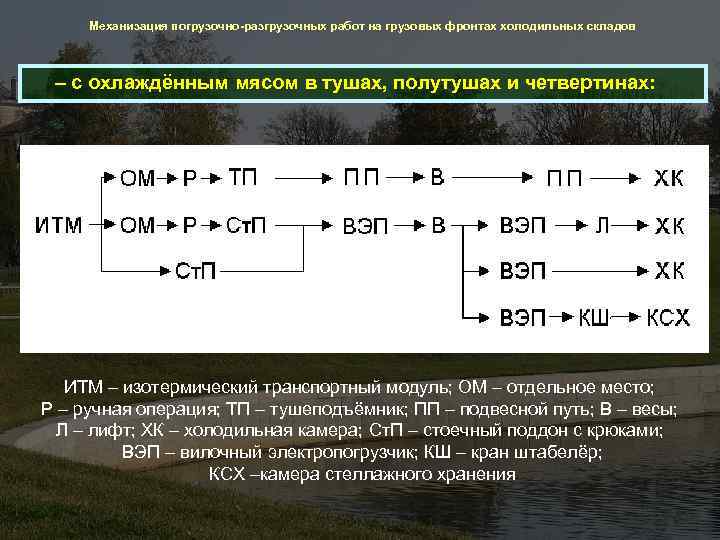 Механизация погрузочно-разгрузочных работ на грузовых фронтах холодильных складов – с охлаждённым мясом в тушах,