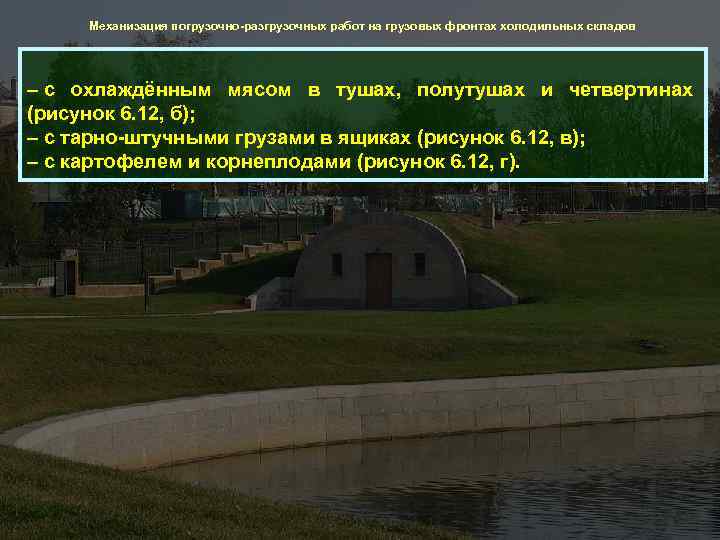Механизация погрузочно-разгрузочных работ на грузовых фронтах холодильных складов – с охлаждённым мясом в тушах,