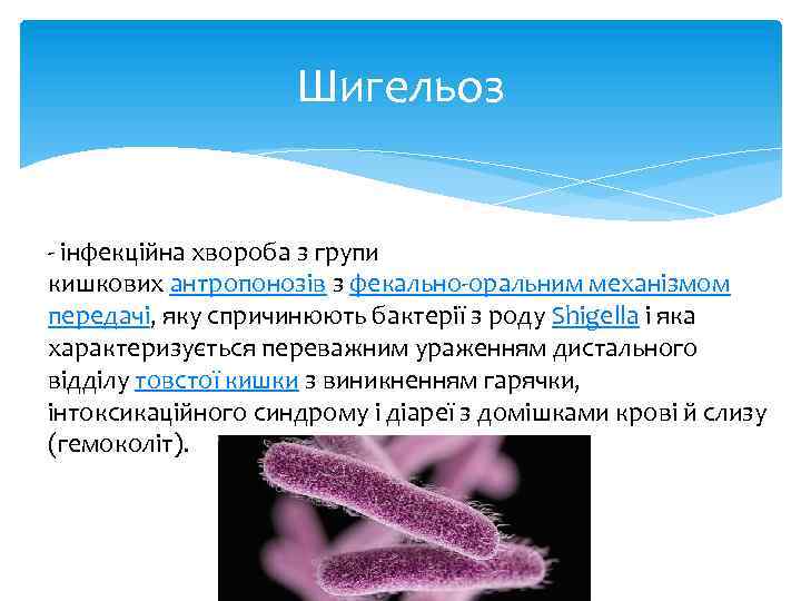 Шигельоз - інфекційна хвороба з групи кишкових антропонозів з фекально-оральним механізмом передачі, яку спричинюють