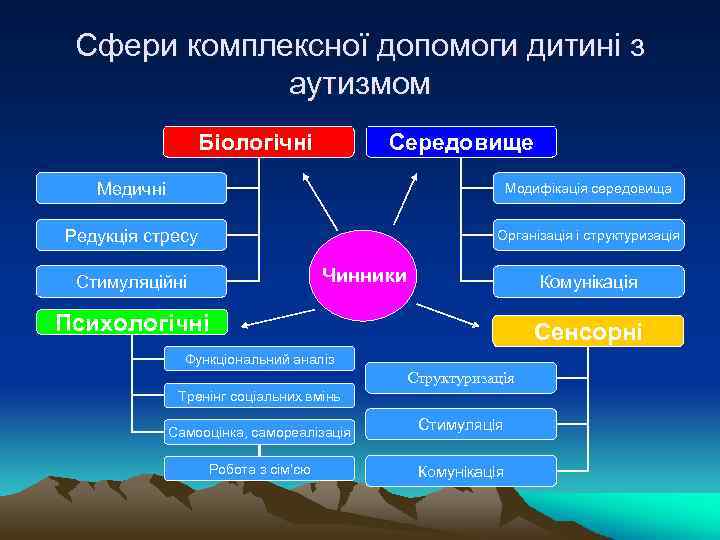 Сфери комплексної допомоги дитині з аутизмом Біологічні Середовище Медичні Модифікація середовища Редукція стресу Організація