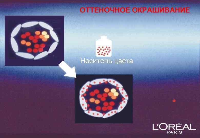 ОТТЕНОЧНОЕ ОКРАШИВАНИЕ Носитель цвета 