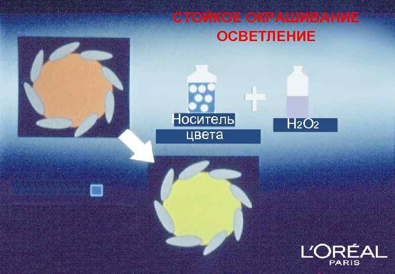 СТОЙКОЕ ОКРАШИВАНИЕ ОСВЕТЛЕНИЕ Носитель цвета Н 2 О 2 