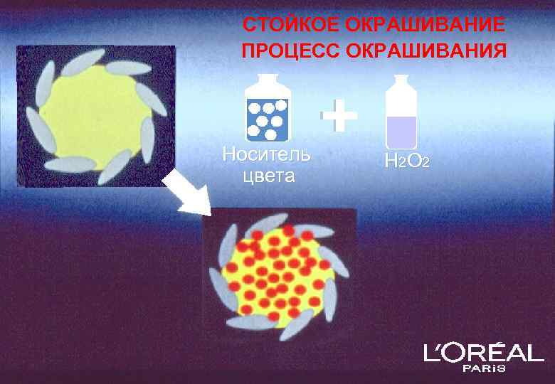 СТОЙКОЕ ОКРАШИВАНИЕ ПРОЦЕСС ОКРАШИВАНИЯ Носитель цвета Н 2 О 2 