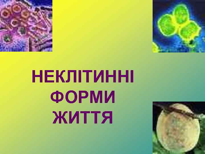 НЕКЛІТИННІ ФОРМИ ЖИТТЯ 