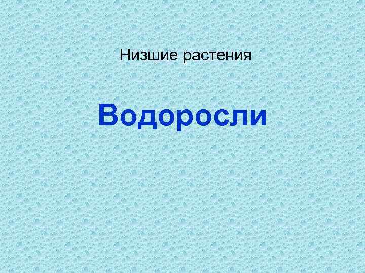 Низшие растения Водоросли 