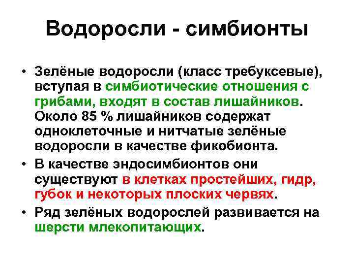 Водоросли - симбионты • Зелёные водоросли (класс требуксевые), вступая в симбиотические отношения с грибами,