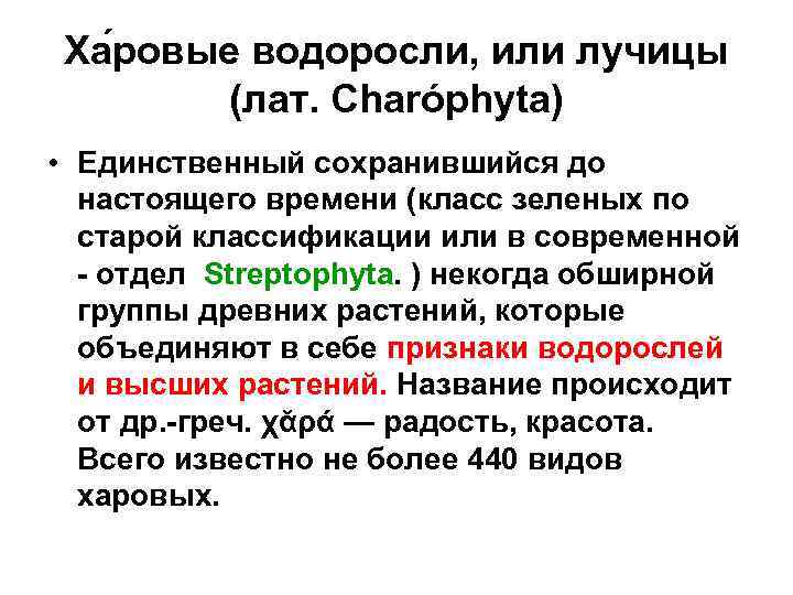 Ха ровые водоросли, или лучицы (лат. Charóphyta) • Единственный сохранившийся до настоящего времени (класс