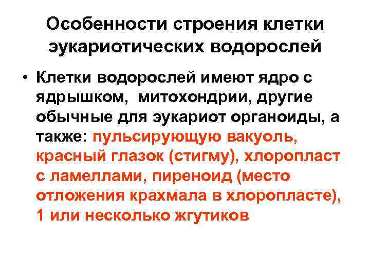 Особенности строения клетки эукариотических водорослей • Клетки водорослей имеют ядро с ядрышком, митохондрии, другие
