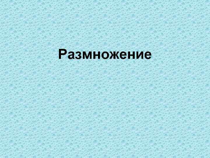 Размножение 