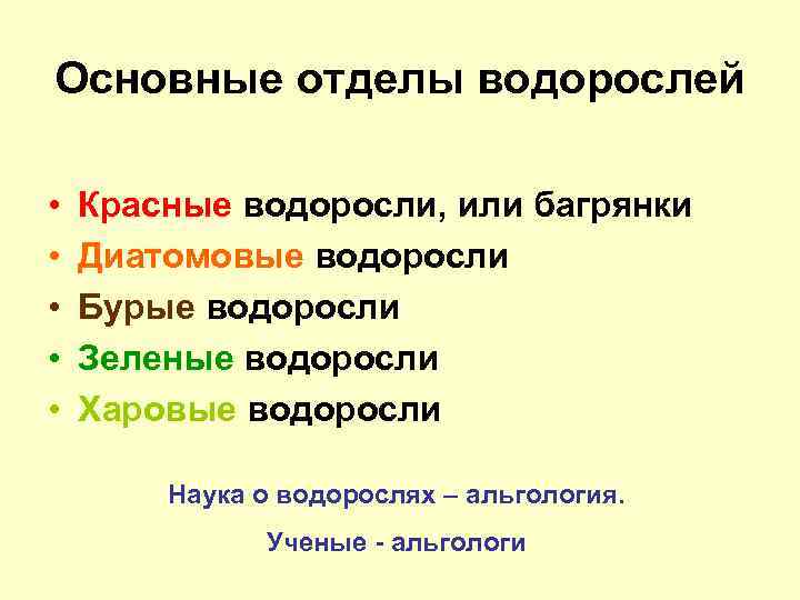 Основные отделы водорослей • • • Красные водоросли, или багрянки Диатомовые водоросли Бурые водоросли