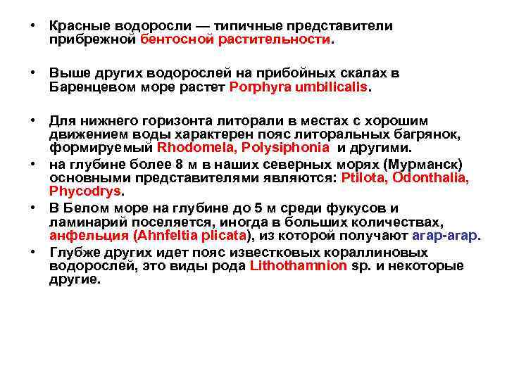  • Красные водоросли — типичные представители прибрежной бентосной растительности. • Выше других водорослей
