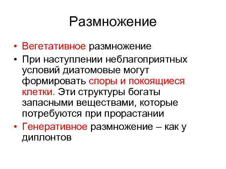 Размножение • Вегетативное размножение • При наступлении неблагоприятных условий диатомовые могут формировать споры и