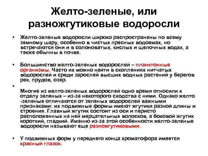 Желто-зеленые, или разножгутиковые водоросли • Желто-зеленые водоросли широко распространены по всему земному шару, особенно