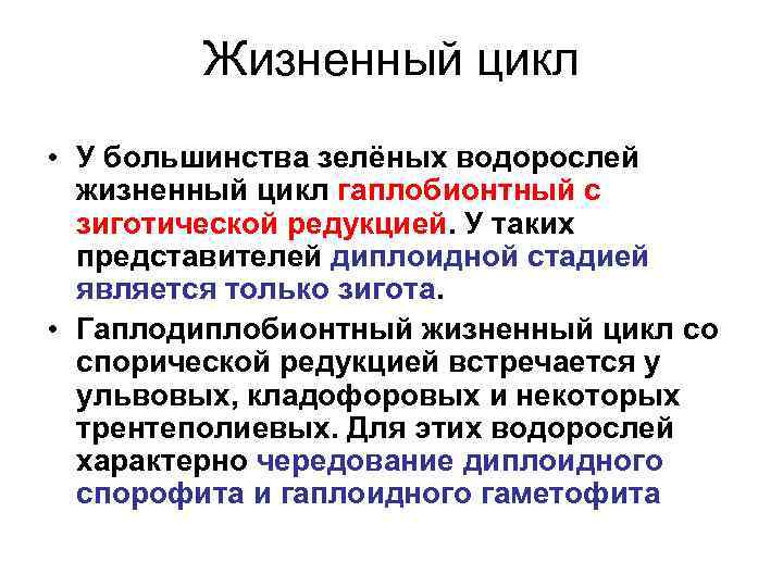 Жизненный цикл • У большинства зелёных водорослей жизненный цикл гаплобионтный с зиготической редукцией. У