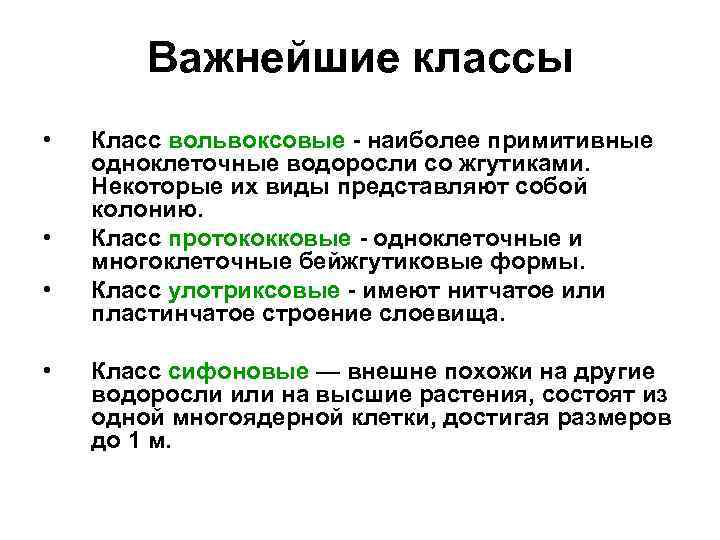 Важнейшие классы • • Класс вольвоксовые - наиболее примитивные одноклеточные водоросли со жгутиками. Некоторые