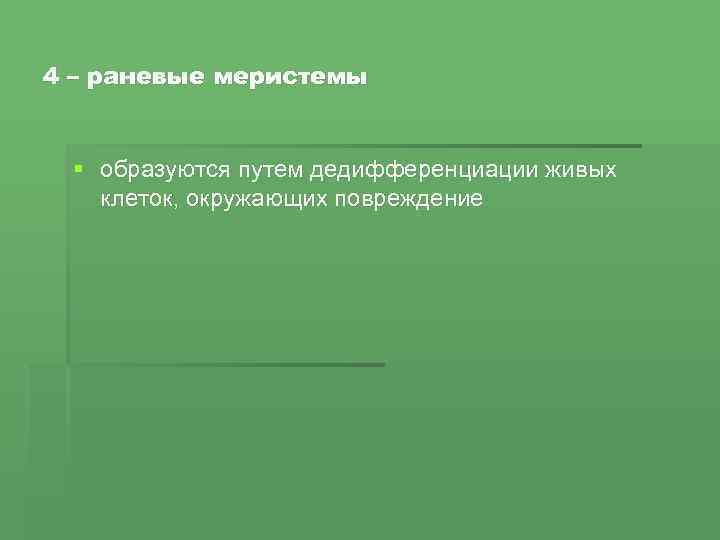 4 – раневые меристемы § образуются путем дедифференциации живых клеток, окружающих повреждение 