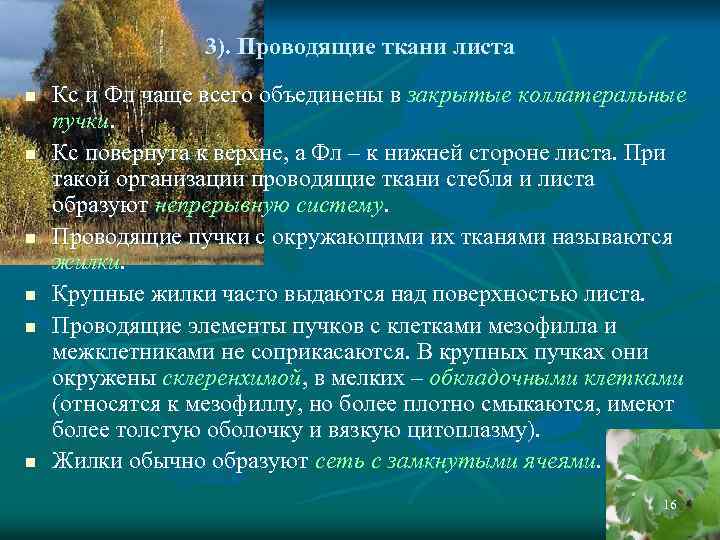 3). Проводящие ткани листа n n n Кс и Фл чаще всего объединены в