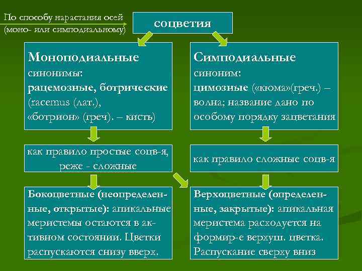 По способу нарастания осей (моно- или симподиальному) соцветия Моноподиальные Симподиальные синонимы: рацемозные, ботрические (racemus