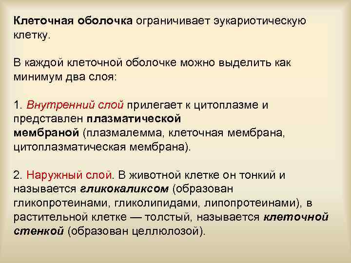 Клеточная оболочка ограничивает эукариотическую клетку. В каждой клеточной оболочке можно выделить как минимум два