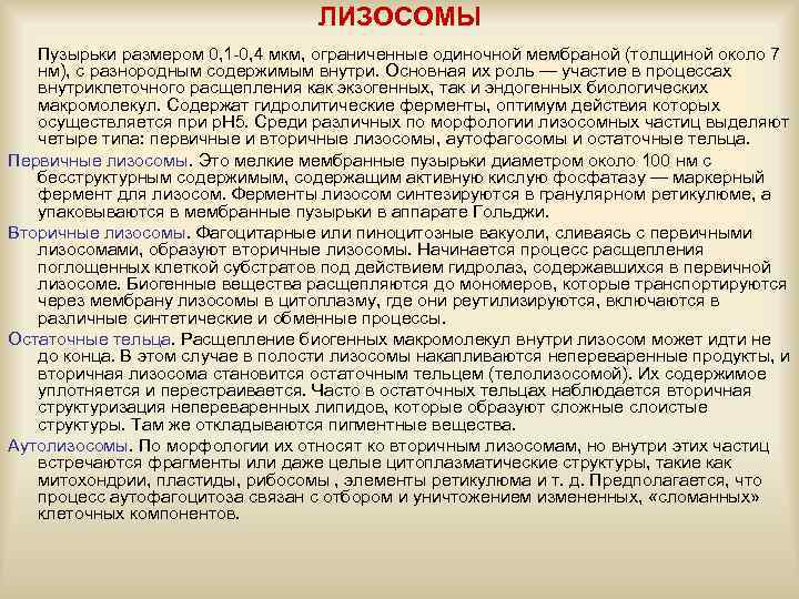 ЛИЗОСОМЫ Пузырьки размером 0, 1 -0, 4 мкм, ограниченные одиночной мембраной (толщиной около 7