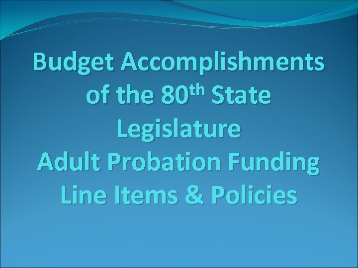 Budget Accomplishments th State of the 80 Legislature Adult Probation Funding Line Items &