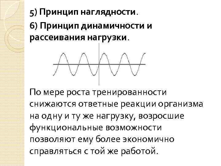 5) Принцип наглядности. 6) Принцип динамичности и рассеивания нагрузки. По мере роста тренированности снижаются