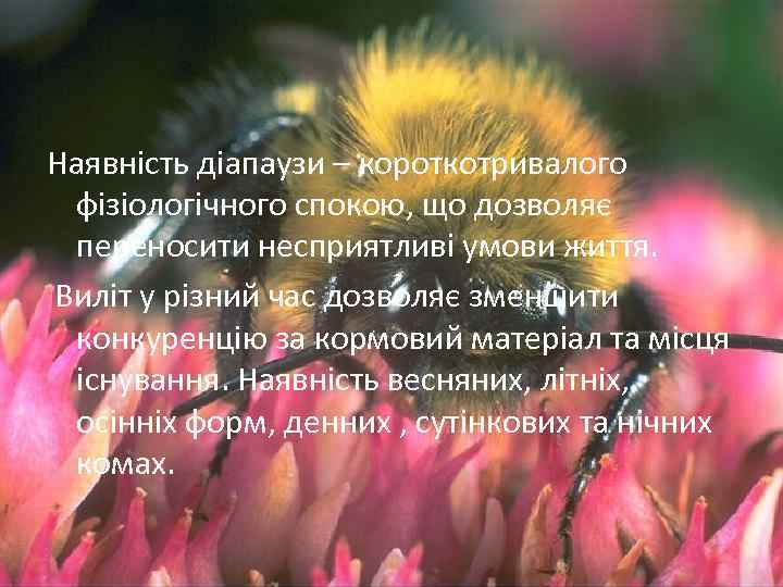 Наявність діапаузи – короткотривалого фізіологічного спокою, що дозволяє переносити несприятливі умови життя. Виліт у
