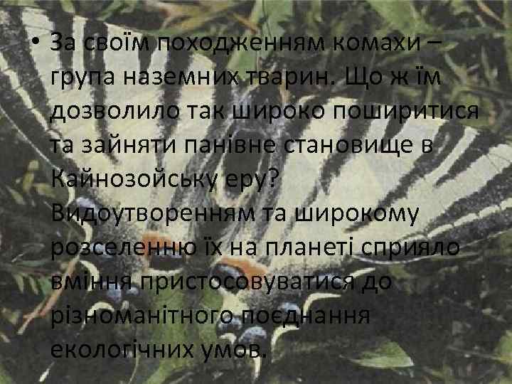  • За своїм походженням комахи – група наземних тварин. Що ж їм дозволило