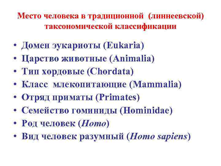 Место человека в традиционной (линнеевской) таксономической классификации • • Домен эукариоты (Eukaria) Царство животные