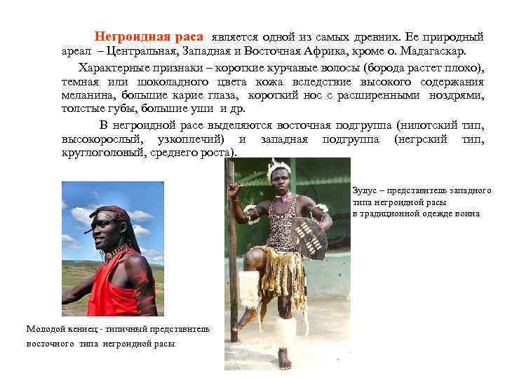 Негроидная раса является одной из самых древних. Ее природный ареал – Центральная, Западная