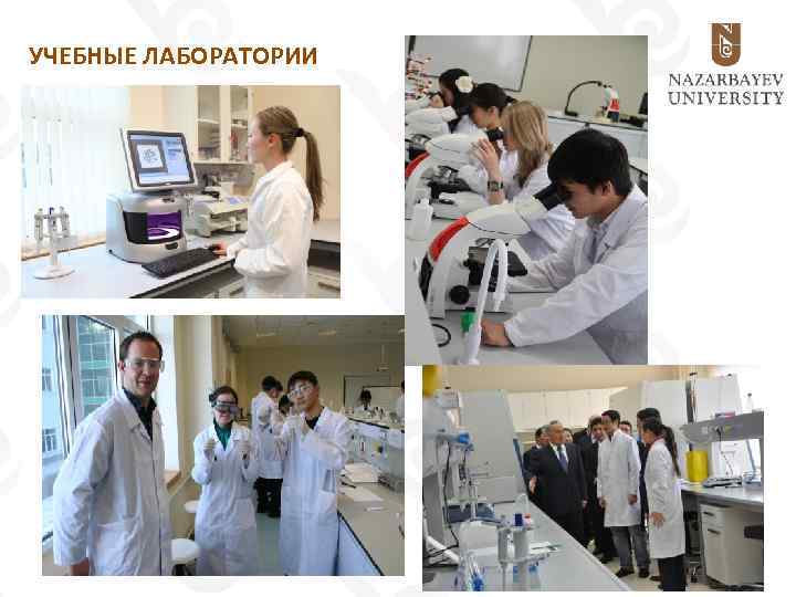 УЧЕБНЫЕ ЛАБОРАТОРИИ 