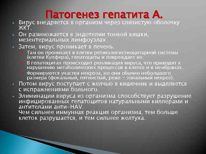  Патогенез гепатита А. Вирус внедряется в организм через слизистую оболочку ЖКТ. Он размножается