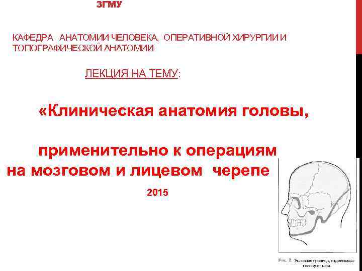 Презентации по топографической анатомии и оперативной хирургии