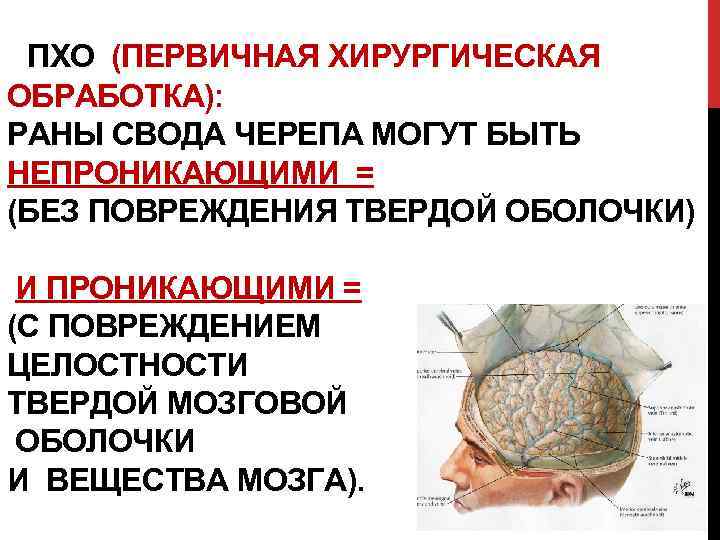 ПХО (ПЕРВИЧНАЯ ХИРУРГИЧЕСКАЯ ОБРАБОТКА): РАНЫ СВОДА ЧЕРЕПА МОГУТ БЫТЬ НЕПРОНИКАЮЩИМИ = (БЕЗ ПОВРЕЖДЕНИЯ ТВЕРДОЙ