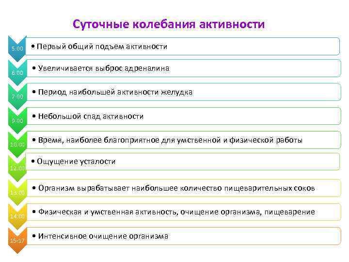 Суточные колебания активности 5. 00 6. 00 7. 00 9. 00 10. 00 12.