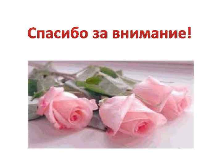 Спасибо за внимание! 