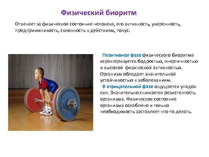 Физический биоритм Отвечает за физическое состояние человека, его активность, уверенность, предприимчивость, склонность к действиям,